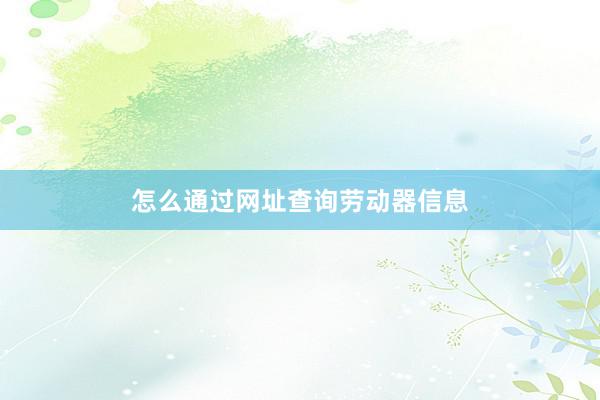 怎么通过网址查询劳动器信息