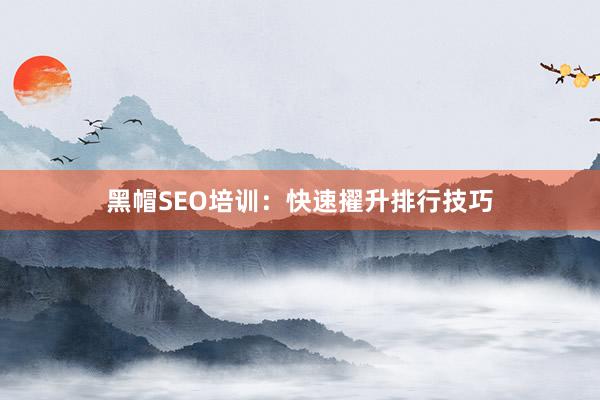 黑帽SEO培训：快速擢升排行技巧